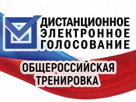 УЧАСТИЕ В ТРЕНИРОВКЕ ДИСТАНЦИОННОГО ЭЛЕКТРОННОГО ГОЛОСОВАНИЯ.