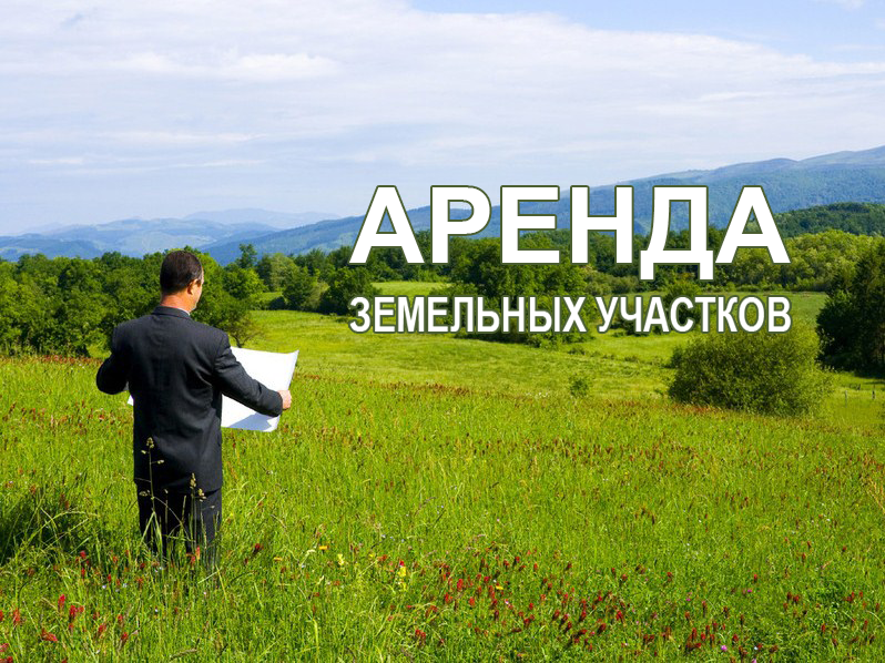 аренда земельных участков.